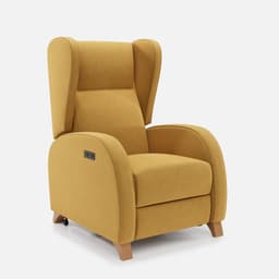 Fauteuil Releveur 2 Moteurs Pablo - PABLO1AF0FI00T-3-4-FACE_009_2048x.jpg