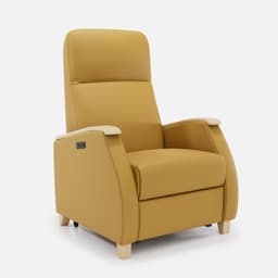 Fauteuil Milo XL Releveur 2 Moteurs - Hetre-Naturel_Butternut_simili_97db0b75-9d3d-4097-b9ec-a3398cef7db2_4096x.jpg