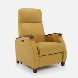 Fauteuil Milo Releveur 2 Moteurs - MILO1AF0RXX00MASMT-3-4-FACE_008_dd3d2524-9453-4bd3-a8ef-951b8c00c1dd_4096x.jpg